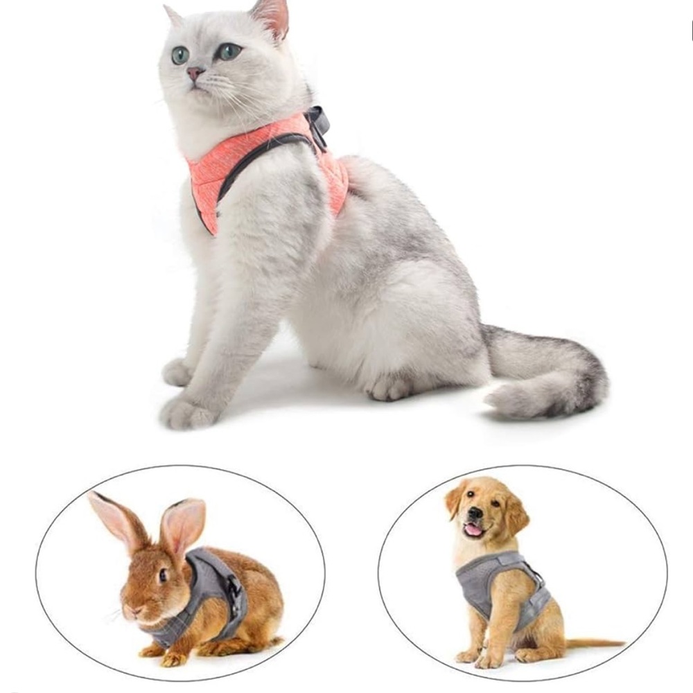 Rabbit vest and leash or puppy harness